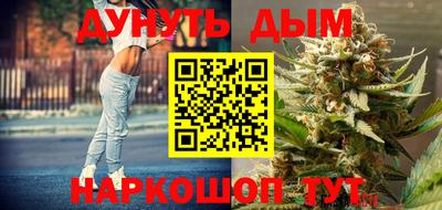 сатива Будённовск