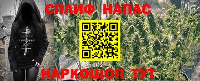 гидропоника Бузулук