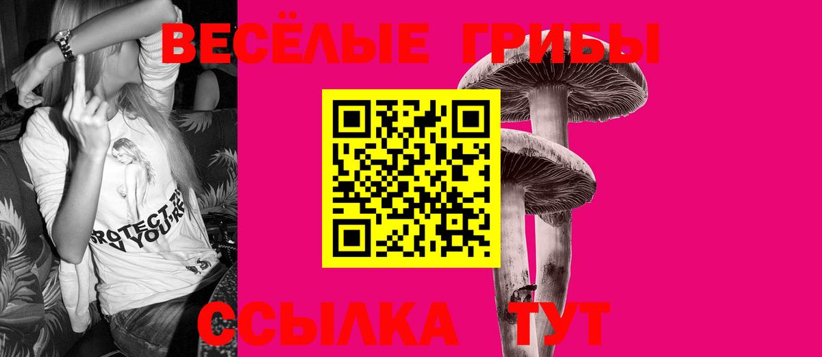 Галлюциногенные грибы GOLDEN TEACHER  Псилоцибиновые грибы Cubensis  Реж  Вход с VPN 